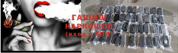 стаф Арсеньев