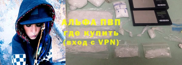 стаф Арсеньев