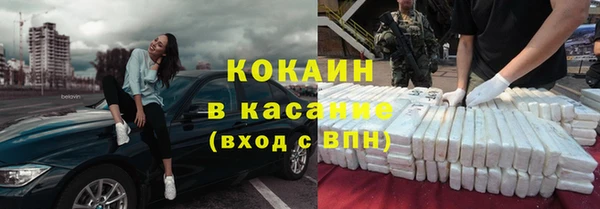 стаф Арсеньев