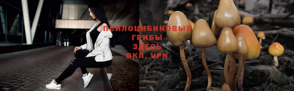 эйфоретик Аркадак