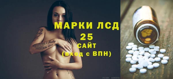 стаф Арсеньев