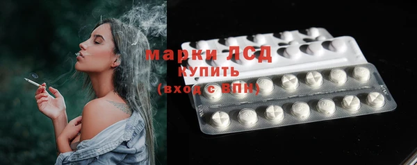 эйфоретик Аркадак