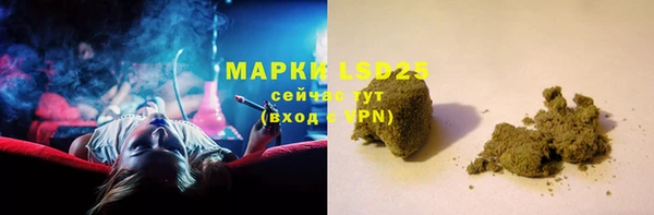 стаф Арсеньев