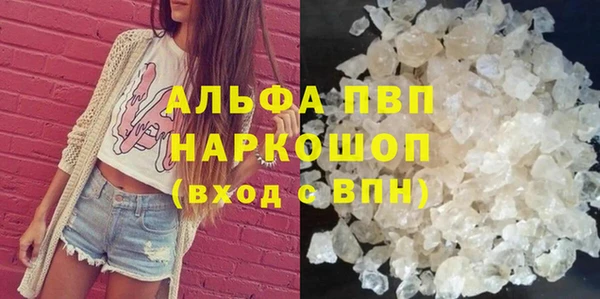 эйфоретик Аркадак
