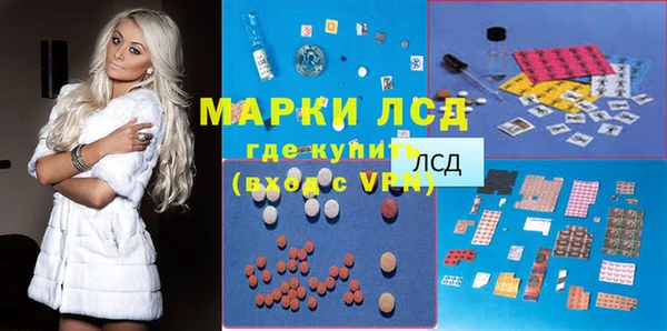 эйфоретик Аркадак