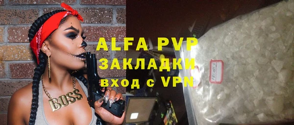 стаф Арсеньев