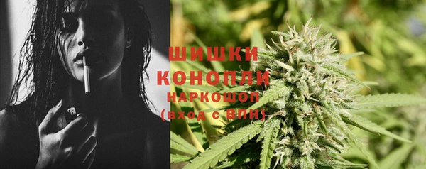 эйфоретик Аркадак