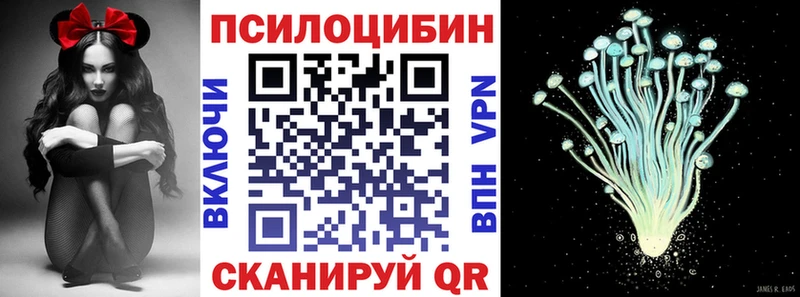 KRAKEN ONION  Рыбное  Псилоцибиновые грибы Psilocybine cubensis 
